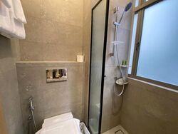 Mount Elizabeth Link (D9), Apartment #584030891